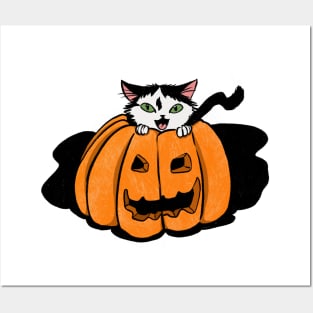 kitty with green eyes in pumpkin Posters and Art